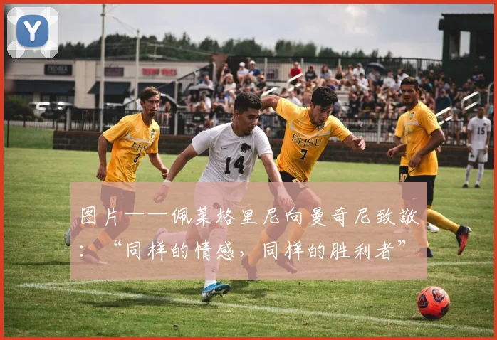 图片——佩莱格里尼向曼奇尼致敬：“同样的情感，同样的胜利者”