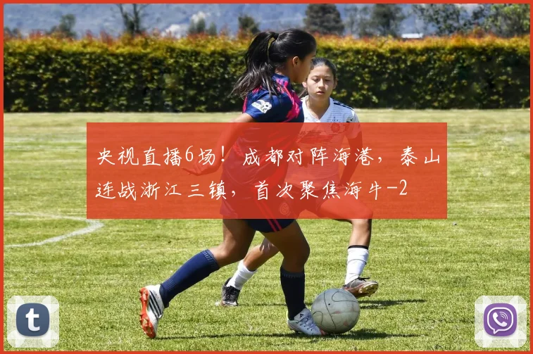 央视直播6场！成都对阵海港，泰山连战浙江三镇，首次聚焦海牛